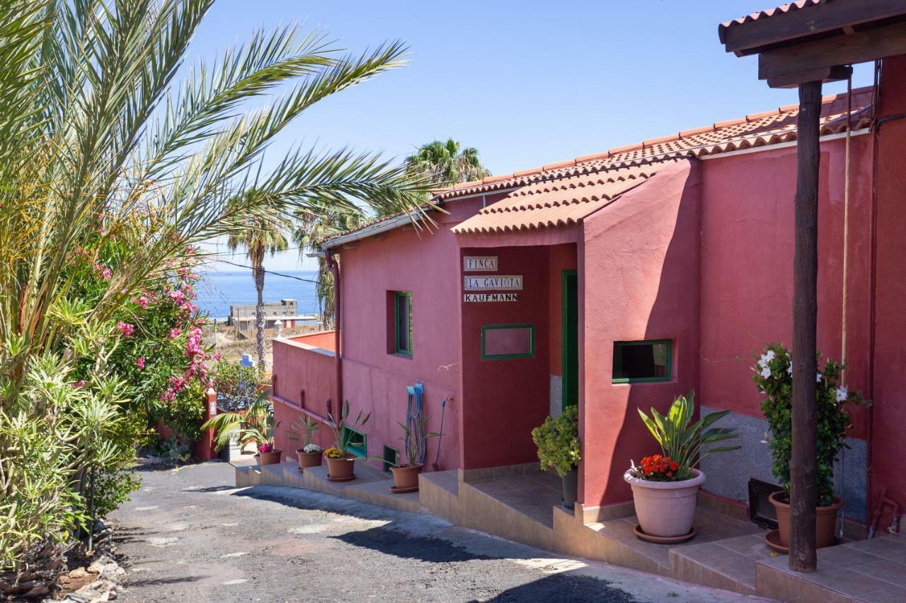 Finca La Gaviota - El Granito Icod de los Vinos Kültér fotó